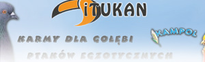 iTukan - projekt logo oraz baneru.